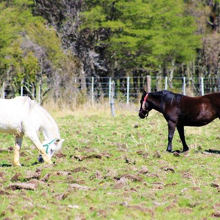 Glamping Patagonia Nativa Rural Hotel โกไยเก ภายนอก รูปภาพ