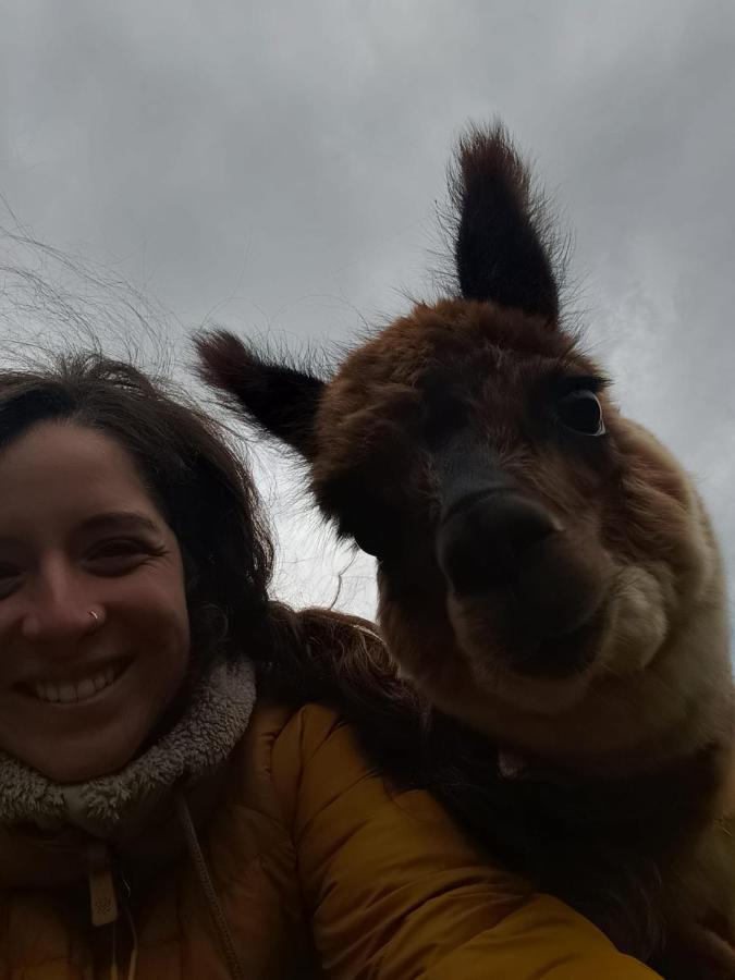 Glamping Patagonia Nativa Rural Hotel โกไยเก ภายนอก รูปภาพ